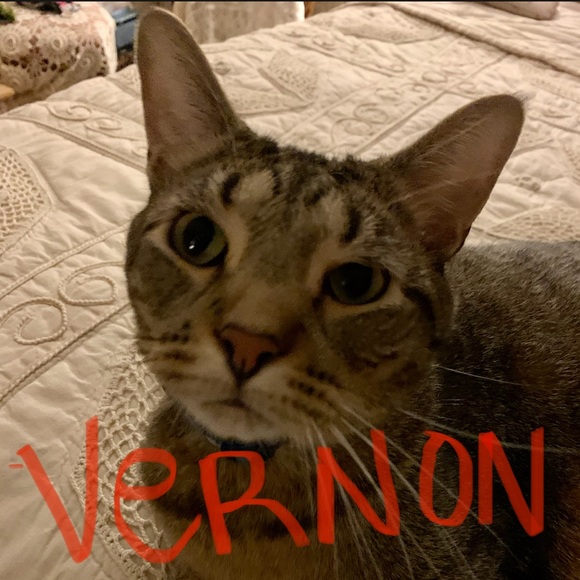 🐷Hi I'm Ape🐷 - Picture 9 of 10